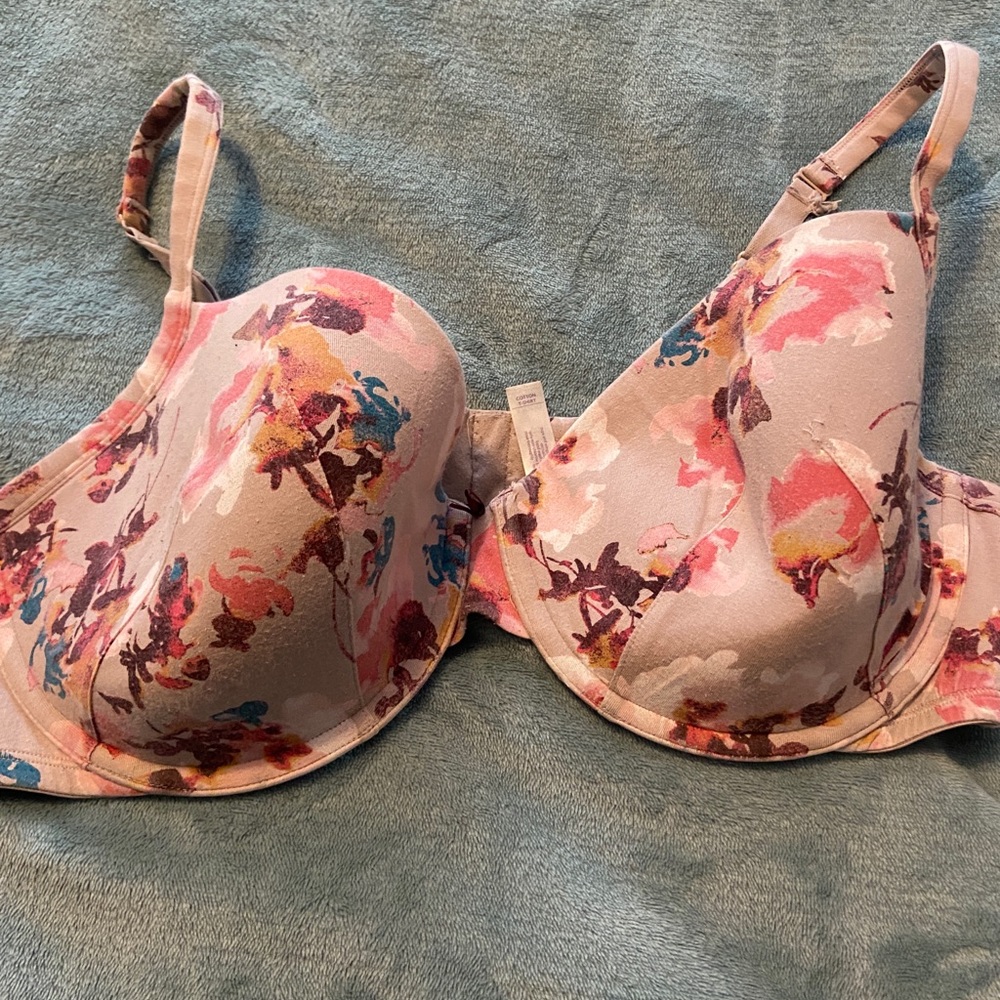 Cacquie lane Bryant bra 42ddd